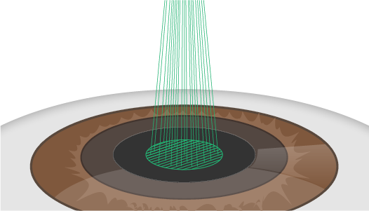 Microscopic view of a virus particle
