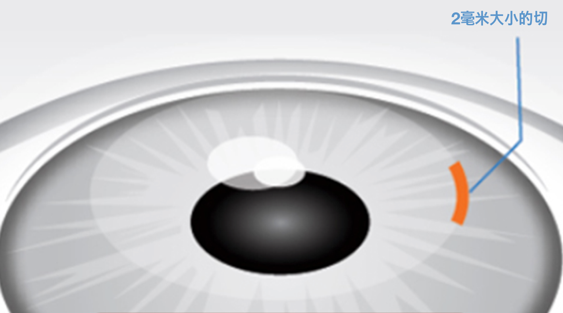 Group photo taken outdoors with participants smiling