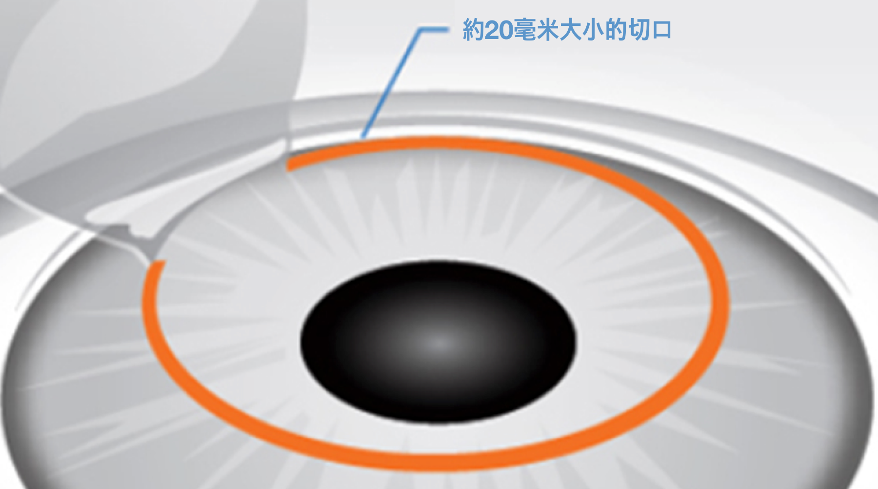 Microscopic view of a virus particle