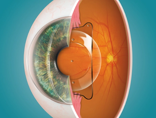 Microscopic view of a virus particle